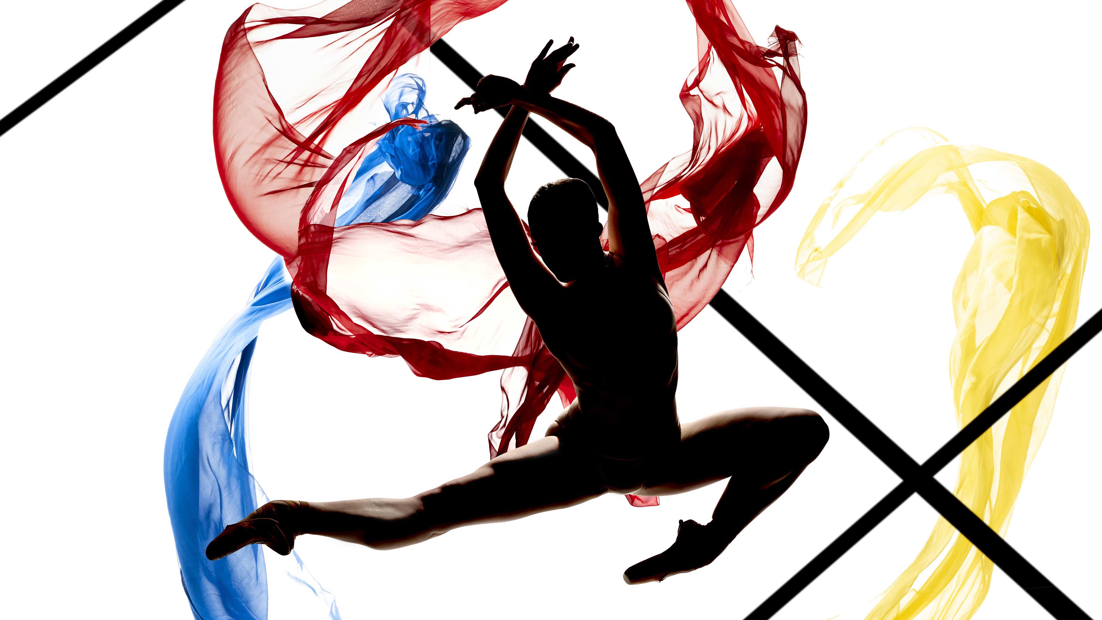 Atlanta Youth Ballet Gala