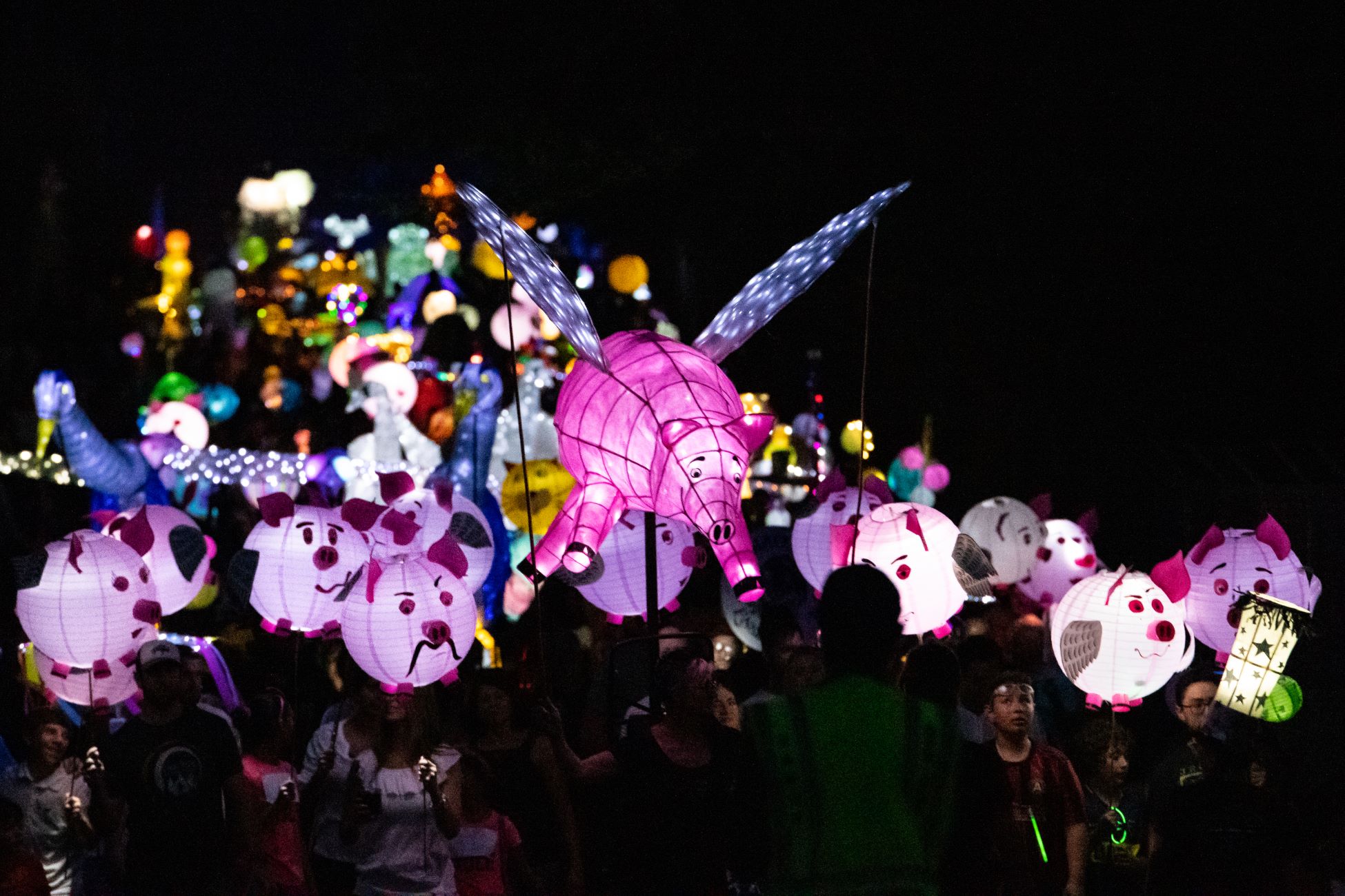 A flying pig lantern leads the Sandy Springs Lantern Parade 
