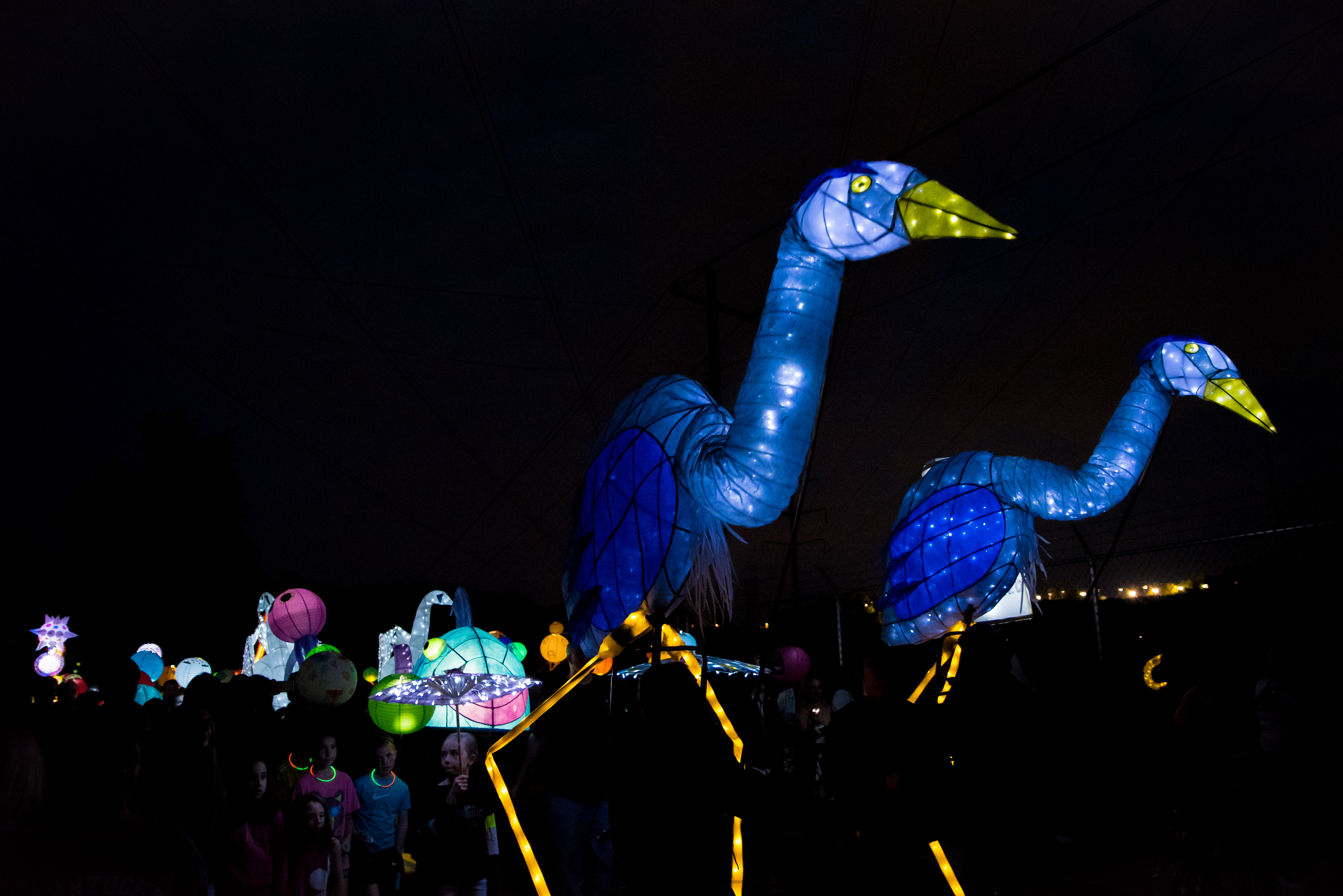 Two large bird puppets tower over guests at the Lantern Parade 