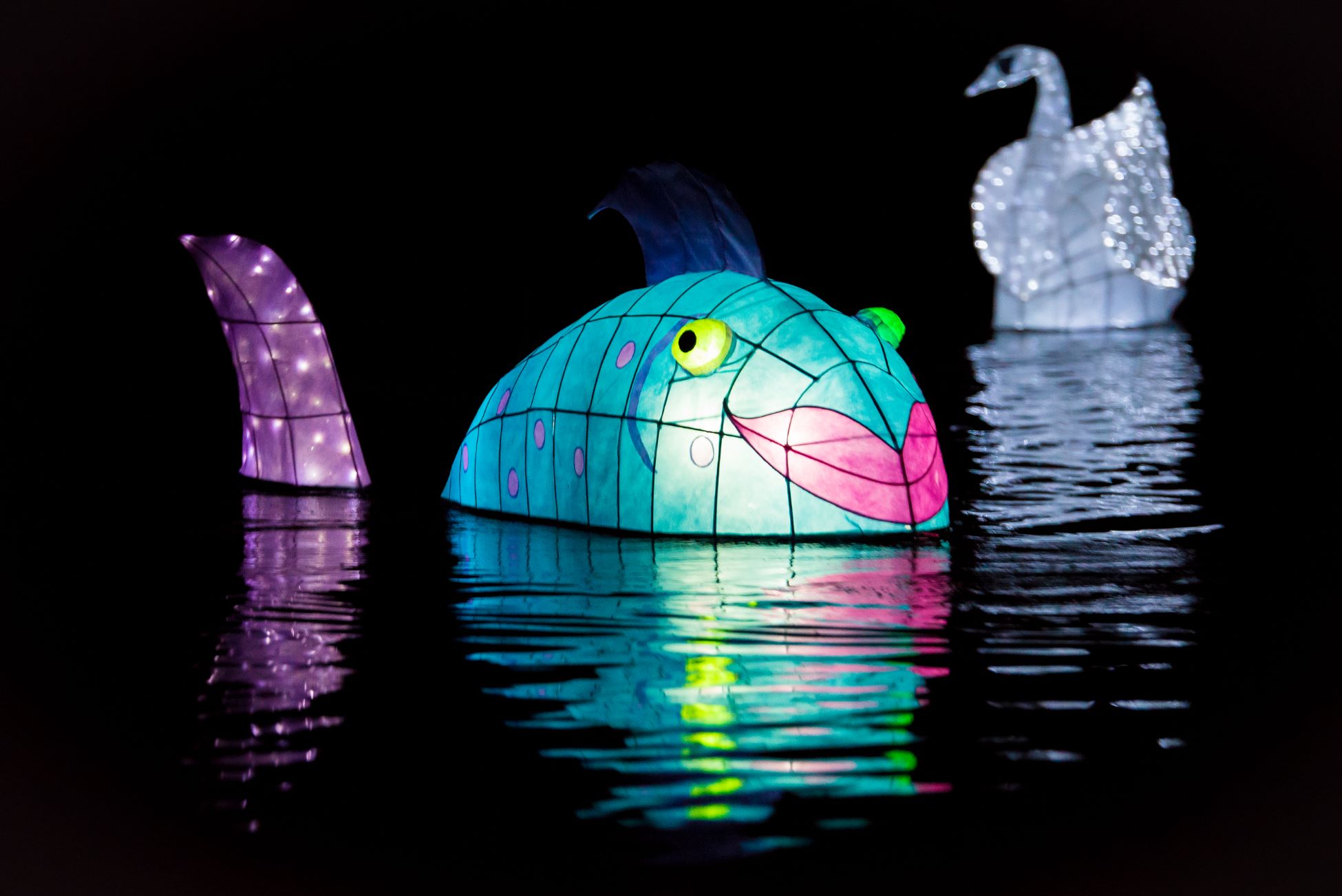 A fish lantern floats on the Chattahoochee River 